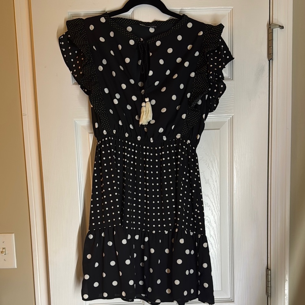 Zara Black and White Polka Dot Dress